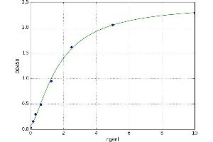 Ubiquitin Protein Ligase E3 Component N-Recognin 4 (UBR4) ELISA Kit
