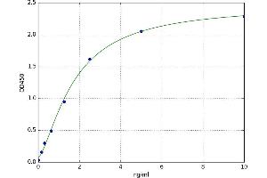 A typical standard curve (UBR4 ELISA 试剂盒)