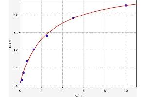 Typical standard curve (Sulfiredoxin 1 ELISA 试剂盒)