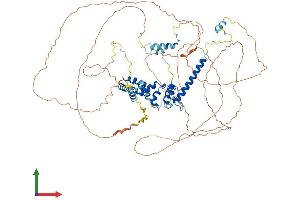 Protein Structure (PS) image for Transcription Elongation Factor B (SIII), Polypeptide 3 (110kDa, Elongin A) (TCEB3) (AA 1-773) protein (His tag) (ABIN7564530)