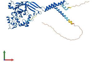 Protein Structure (PS) image for Amiloride-Sensitive Cation Channel 1, Neuronal (ACCN1) (AA 1-512) protein (His tag) (ABIN7560275)