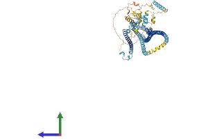 Protein Structure (PS) image for Dynein Regulatory Complex Subunit 1 (DRC1) (AA 1-740) protein (His tag) (ABIN7553703)