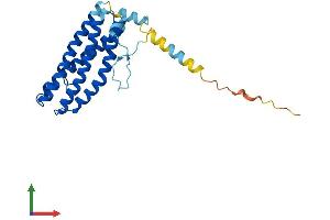 AlphaFold protein structure predicition of Mouse Recombinant Scamp5 Protein, UniprotID Q9JKD3