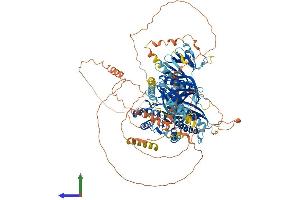 AlphaFold protein structure predicition of Mouse Recombinant Inpp5f Protein, UniprotID Q8CDA1