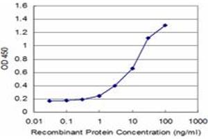 Detection limit for recombinant GST tagged PYGM is approximately 1ng/ml as a capture antibody. (PYGM 抗体  (AA 734-842))