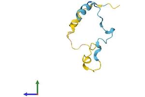 Protein Structure (PS) image for Calcium/calmodulin-Dependent Protein Kinase II Inhibitor 2 (CAMK2N2) (AA 1-79) protein (Fc Tag) (ABIN7546607)