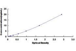 Integrin, alpha 6 (ITGA6) ELISA Kit