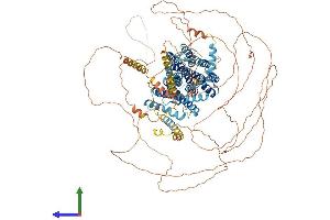 Protein Structure (PS) image for Solute Carrier Family 24 (Sodium/potassium/calcium Exchanger), Member 1 (SLC24A1) (AA 1-1099) protein (His tag) (ABIN7554709)