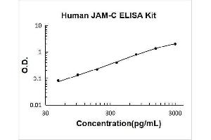 Typical Standard Curve
