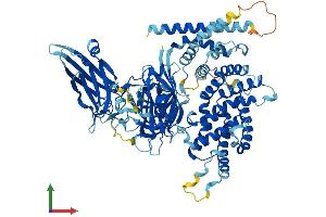 Protein Structure (PS) image for RAS Protein Activator Like 1 (GAP1 Like) (RASAL1) (AA 1-799) protein (His tag) (ABIN7556411)