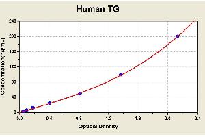 Thyroglobulin (TG) ELISA Kit