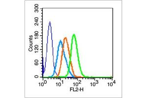 HL-60 cells were fixed with 4% PFA for 10min at room temperature, 0. (BRCA1 抗体  (pSer1524))