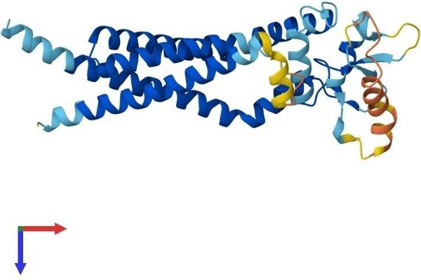 CD37 Protein (AA 1-281) (His tag)