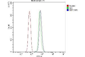 Flow Cytometry analysis of NRK cells using anti- EEF2 antibody (ABIN7603141).