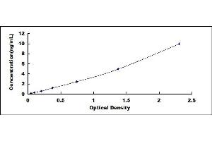 Typical standard curve (ADAMTS7 ELISA 试剂盒)