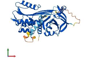 AlphaFold protein structure predicition of Human Recombinant SERPINB7 Protein, UniprotID O75635
