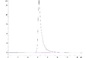 Size-exclusion chromatography-High Pressure Liquid Chromatography (SEC-HPLC) image for Carcinoembryonic Antigen-Related Cell Adhesion Molecule 1 (CEACAM1) (AA 35-428) protein (His tag) (ABIN7274331)