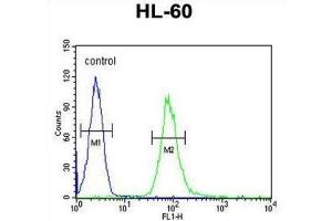 Flow Cytometry (FACS) image for anti-Interleukin 2 Receptor, gamma (IL2RG) antibody (ABIN3004182) (IL2RG 抗体)