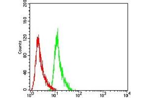 Flow cytometric analysis of NIH3T3 cells using PMS2 mouse mAb (green) and negative control (red).