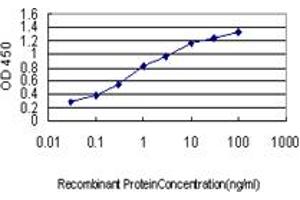 Detection limit for recombinant GST tagged BCAR3 is approximately 0. (BCAR3 抗体  (AA 266-373))