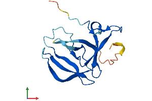 AlphaFold protein structure predicition of Human Recombinant FAM72B Protein, UniprotID Q86X60