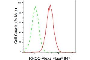 Flow cytometric analysis of RHOC expression in C2C12 cells using RHOC antibody (ABIN7800143), 1:2,000). (RHOC 抗体)