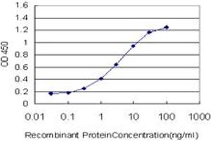 Detection limit for recombinant GST tagged NDOR1 is approximately 0. (NDOR1 抗体  (AA 498-595))
