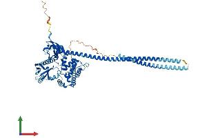 AlphaFold protein structure predicition of Human Recombinant NF2 Protein, UniprotID P35240 (Merlin Protein (AA 1-595) (His tag))