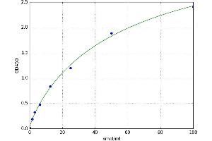 A typical standard curve