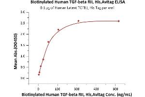 ELISA image for Transforming Growth Factor, beta Receptor II (70/80kDa) (TGFBR2) (AA 23-159) (Active) protein (His tag,AVI tag,Biotin) (ABIN6973280)