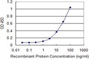 Detection limit for recombinant GST tagged STIM1 is 0. (STIM1 抗体  (AA 24-685))