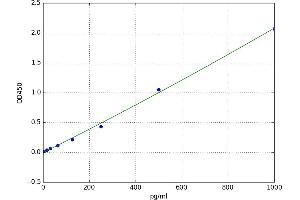 Growth Hormone Releasing Hormone (GHRH) ELISA Kit