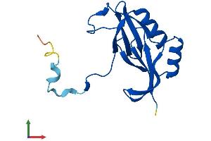 Protein Structure (PS) image for Glyoxalase Domain Containing 5 (GLOD5) (AA 1-148) protein (His tag) (ABIN7561123)