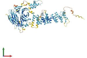 AlphaFold protein structure predicition of Human Recombinant HPS6 Protein, UniprotID Q86YV9