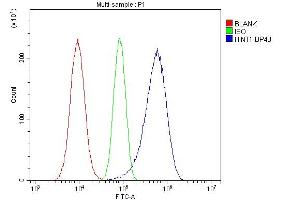 Flow Cytometry analysis of A549 cells using anti-HINT1 antibody (ABIN3042445).