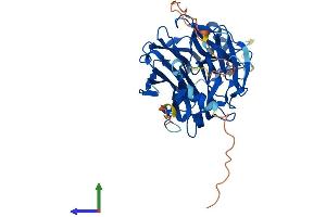 Protein Structure (PS) image for Sialidase 3 (Membrane Sialidase) (Neu3) (AA 1-428) protein (His tag) (ABIN7549715)