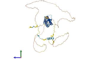 Protein Structure (PS) image for serum Response Factor Binding Protein 1 (SRFBP1) (AA 1-441) protein (His tag) (ABIN7560776)