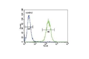 Flow Cytometry (FACS) image for anti-Cytochrome P450, Family 11, Subfamily B, Polypeptide 2 (CYP11B2) (AA 120-147) antibody (ABIN655163)