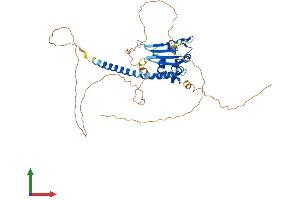 Protein Structure (PS) image for TSPY-Like 5 (TSPYL5) (AA 1-417) protein (His tag) (ABIN7544814)