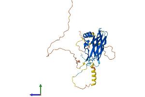 Protein Structure (PS) image for Protein Phosphatase 1, Regulatory Subunit 3C (PPP1R3C) (AA 1-317) protein (His tag) (ABIN7550890)