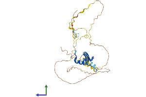 AlphaFold protein structure predicition of Human Recombinant TLX1 Protein, UniprotID P31314 (TLX1 Protein (AA 1-330) (His tag))