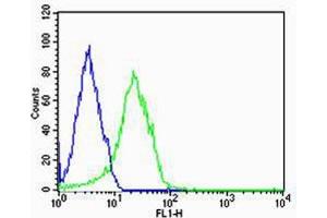 Flow cytometric analysis of HepG2 cells using FABP3(green, Cat(ABIN6242886 and ABIN6577405)) compared to an isotype control of rabbit IgG(blue).