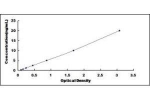 Typical standard curve (RIOK1 ELISA 试剂盒)