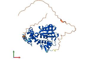 Protein Structure (PS) image for Clavesin 1 (CLVS1) (AA 1-354) protein (His tag) (ABIN7546536)