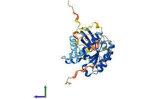 Protein Structure (PS) image for RAB40C, Member RAS Oncogene Family (RAB40C) (AA 1-281) protein (His tag) (ABIN7559930)