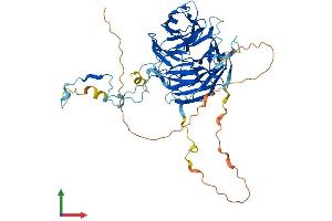 Protein Structure (PS) image for Retinoblastoma Binding Protein 5 (RBBP5) (AA 1-538) protein (His tag) (ABIN7558983)