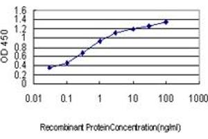 Detection limit for recombinant GST tagged USP31 is approximately 0. (USP31 抗体  (AA 1254-1352))