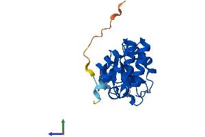 Protein Structure (PS) image for Dual Specificity Phosphatase 18 (DUSP18) (AA 1-188) protein (His tag) (ABIN7547244)