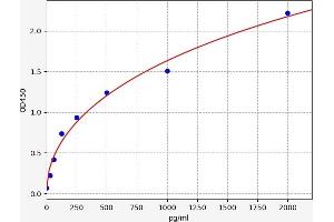 Connective Tissue Growth Factor (CTGF) ELISA Kit
