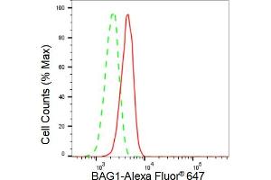 Flow cytometric analysis of BAG1 expression in C2C12 cells using BAG1 antibody (ABIN7797743), 1:2,000). (Recombinant BAG1 抗体)